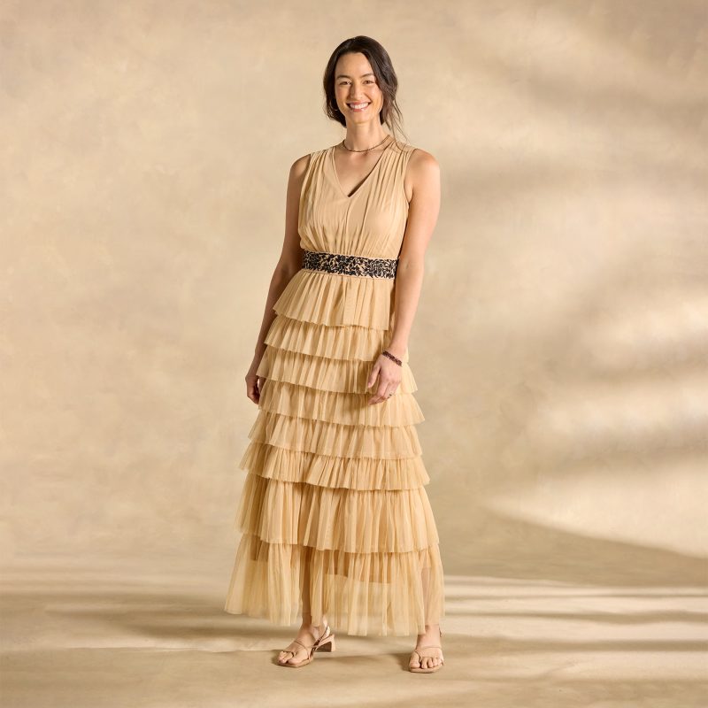 Millbrae Mesh Dress. Petite